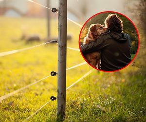 49-latka porażona prądem w ośrodku wypoczynkowym! Ratowała swojego psa. Została ciężko poparzona