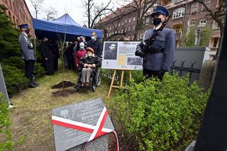 Dęby pamięci dla policjantów zamordowanych w Katyniu