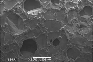 struktura pojedynczej kuleczki pomaranczowego styropianu z pigmentowym filtrem ochronnym_zdjecie mikroskop elektronowy.jpg