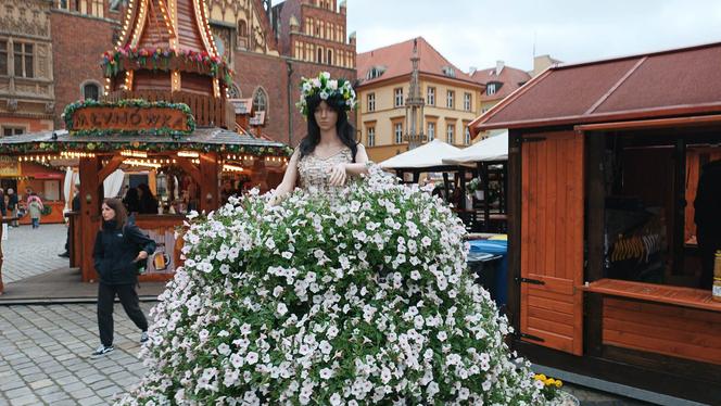 Jarmark Świętojański już działa! Zobacz, jak wygląda teraz wrocławski Rynek