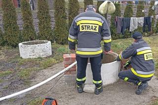 Tajemnicze zaginięcie 73 letniej Krystyny z Łowiec