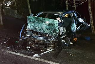 Zginął przez kaczkę