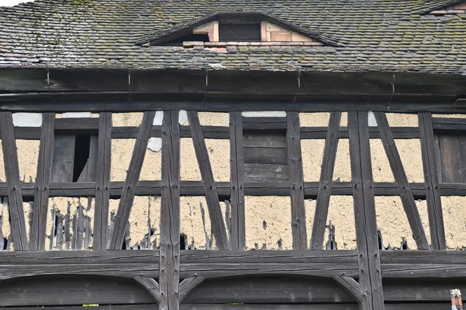 Torhaus - przysłupowy dom bramny z Działoszyna pod Bogatynią