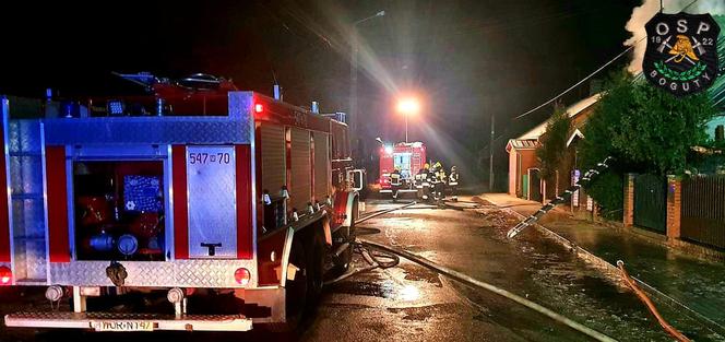 Dwie osoby zginęły pod Ostrowią Mazowiecką! Policja bada odpowiedzialność 28-latki [ZDJĘCIA]