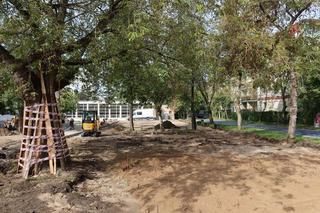 Nowe miejsca dla dzieci na bydgoskich osiedlach. Zobaczcie na zdjęciach, jak to teraz wygląda