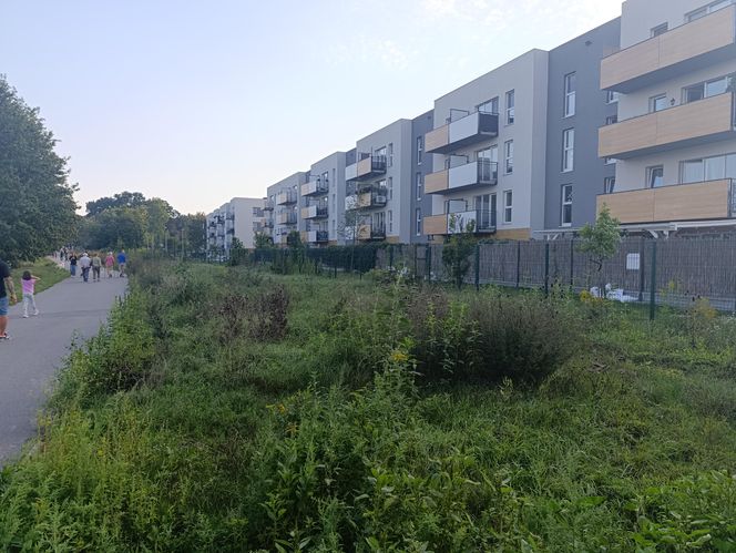 Stan rzeki Ślęza cały czas się podnosi. Przekroczono już stan alarmowy. Jak wygląda sytuacja?