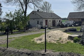 Ewa została zmasakrowana. Policja zatrzymała jej partnera