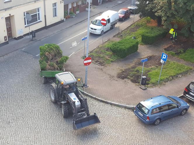 Bukszpany zrobiły miejsce na nowy pomnik w Lesznie. Poświęcony będzie żołnierzom generała Józefa Hallera