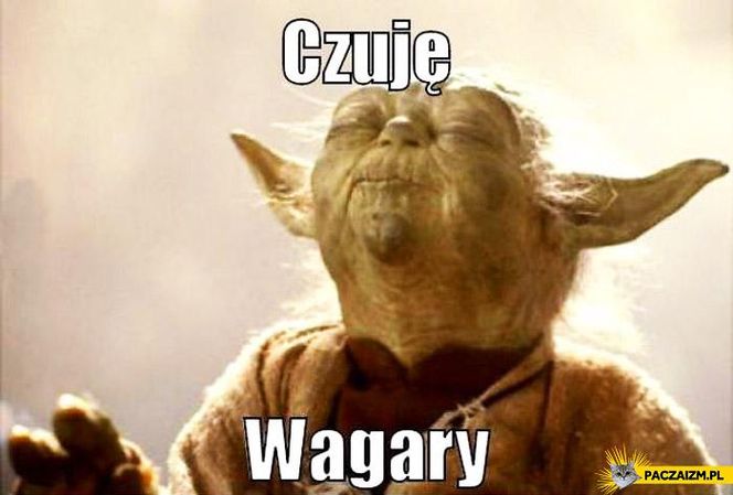 Memy na dzień wagarowicza