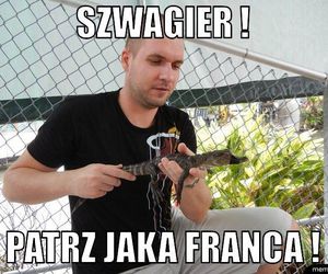 Memy na Dzień Szwagra 