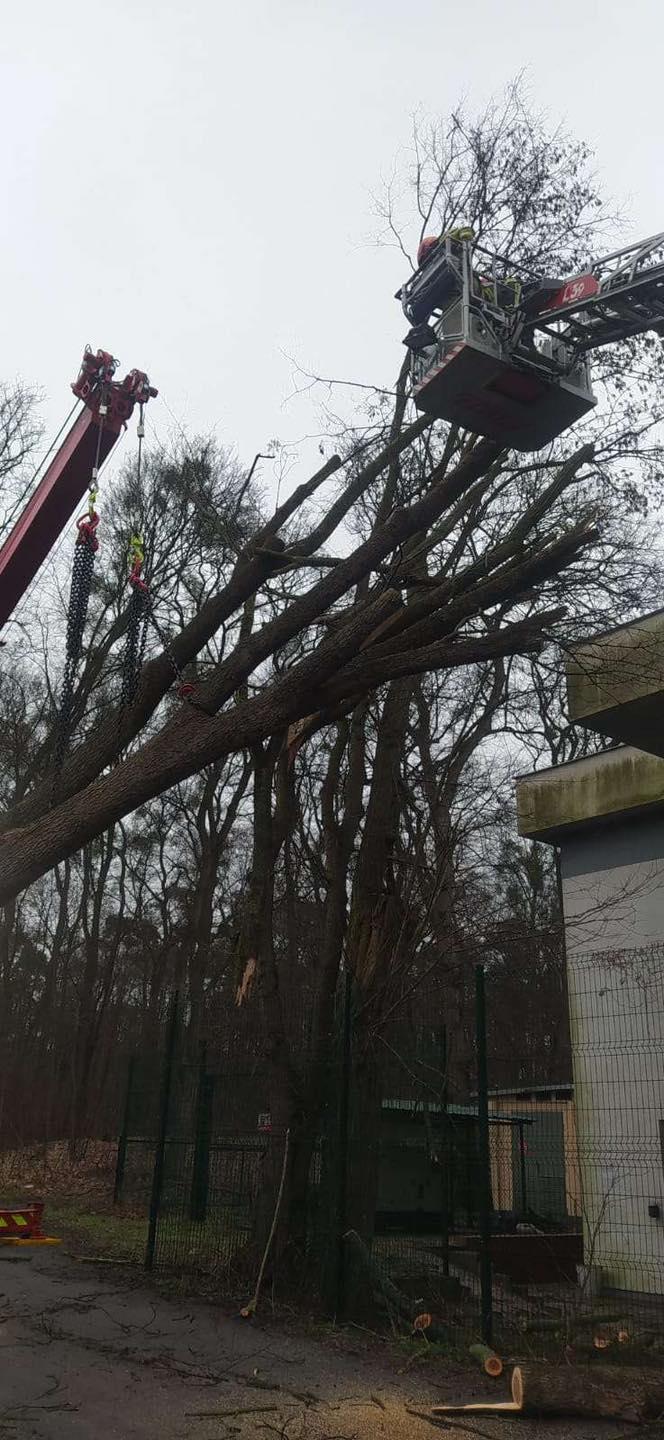 Straż pożarna zachodniopomorskie