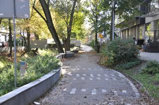 Złota polska jesień w Kielcach. 30 października 2023