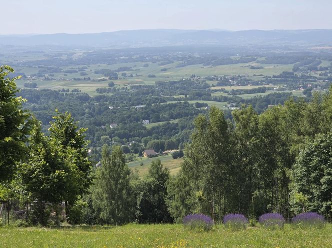 Wieża widokowa w Korczynie