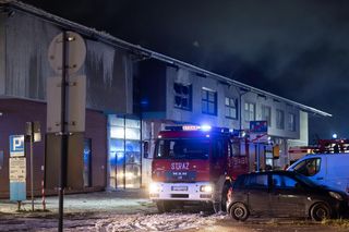 Papugarnia w płomieniach. Eksperci ujawniają przyczynę dramatycznego pożaru w galerii Podolany