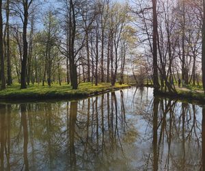 To najpiękniejszy park w Polsce. Warto przywitać tam wiosnę 