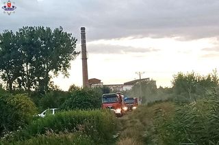Tragiczny finał poszukiwań w woj. lubelskim. Sprawą zajmuje się policja