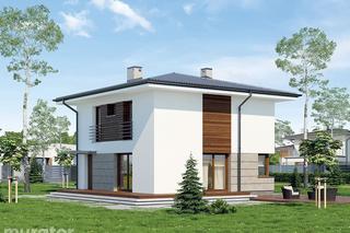 M173b Pełen energii wariant II - widok na dom