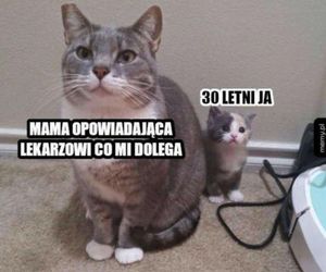 Memy na Dzień Mamy 2025