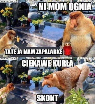 Memy na Wszystkich Świętych