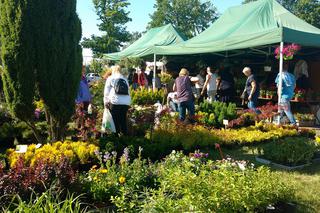 Chorzów: Kwiaty, zioła i dodatki do ogrodu. W Parku Śląskim trwa Święto Kwiatów [ZDJĘCIA]