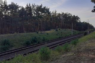 Brzoza Toruńska 40 lat po katastrofie kolejowej