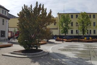 Tak wygląda teraz Stary Fordon w Bydgoszczy