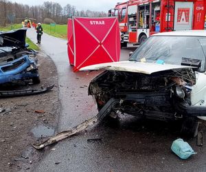 Śmiertelny wypadek pod Łaskiem. Kierujący volkswagenem nie żyje, 4-letnie dziecko zabrał śmigłowiec [ZDJĘCIA]