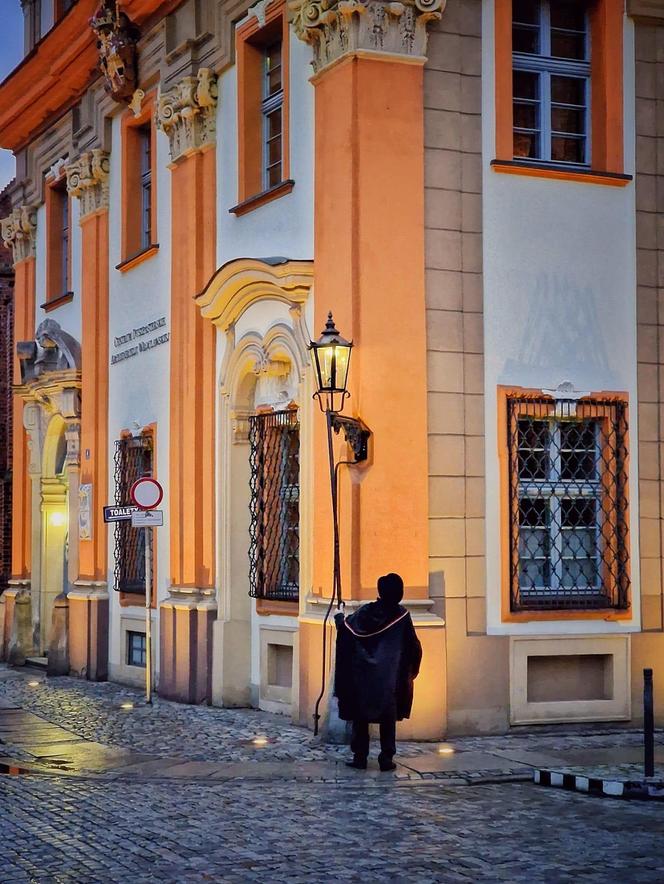 Latarnik na Ostrowie Tumskim we Wrocławiu. To wyjątek na skalę Europy. Kiedy można go spotkać? 