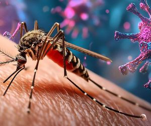 Gorączka chikungunya jest już w Europie