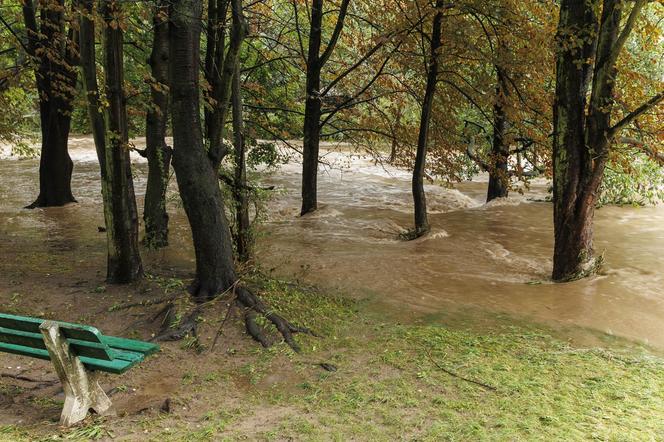 Zalana droga na Złotoryję