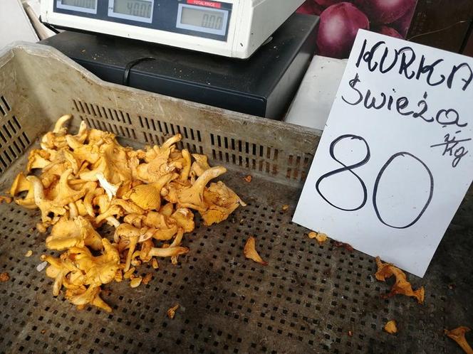 To ostatni moment na grzyby. Jakie są ceny gąsek, rydzów i kozaków w listopadzie w Krakowie?
