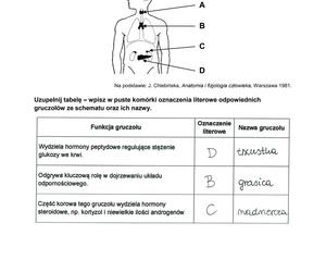 Matura 2024: biologia. Arkusze CKE i odpowiedzi. Poziom rozszerzony [Formuła 2023]