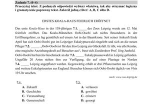 ARKUSZE CKE - Matura j.niemiecki- poziom rozszerzony 2019 - co było na maturze z niemieckiego?
