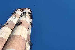 Sokoły z Lublina już zaobrączkowane, ale imion jeszcze nie znamy