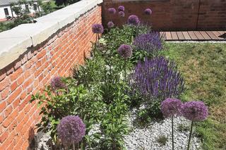 Skwer pod Akacją w Lublinie