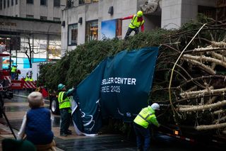 W Nowym Jorku stanęła choinka. Tłumy towarzyszyły jej transportowi