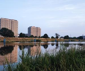 Co tak hałasuje na wrocławskim osiedlu? Zagadkę rozwiązali mieszkańcy