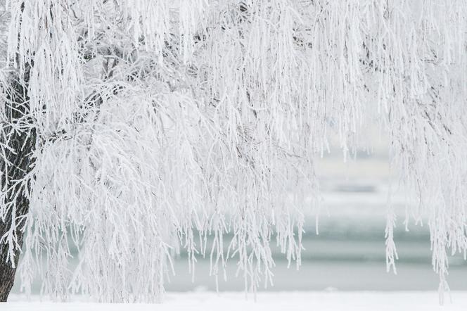 Winter is coming! Śnieg w Lublinie? Znamy prognozy!