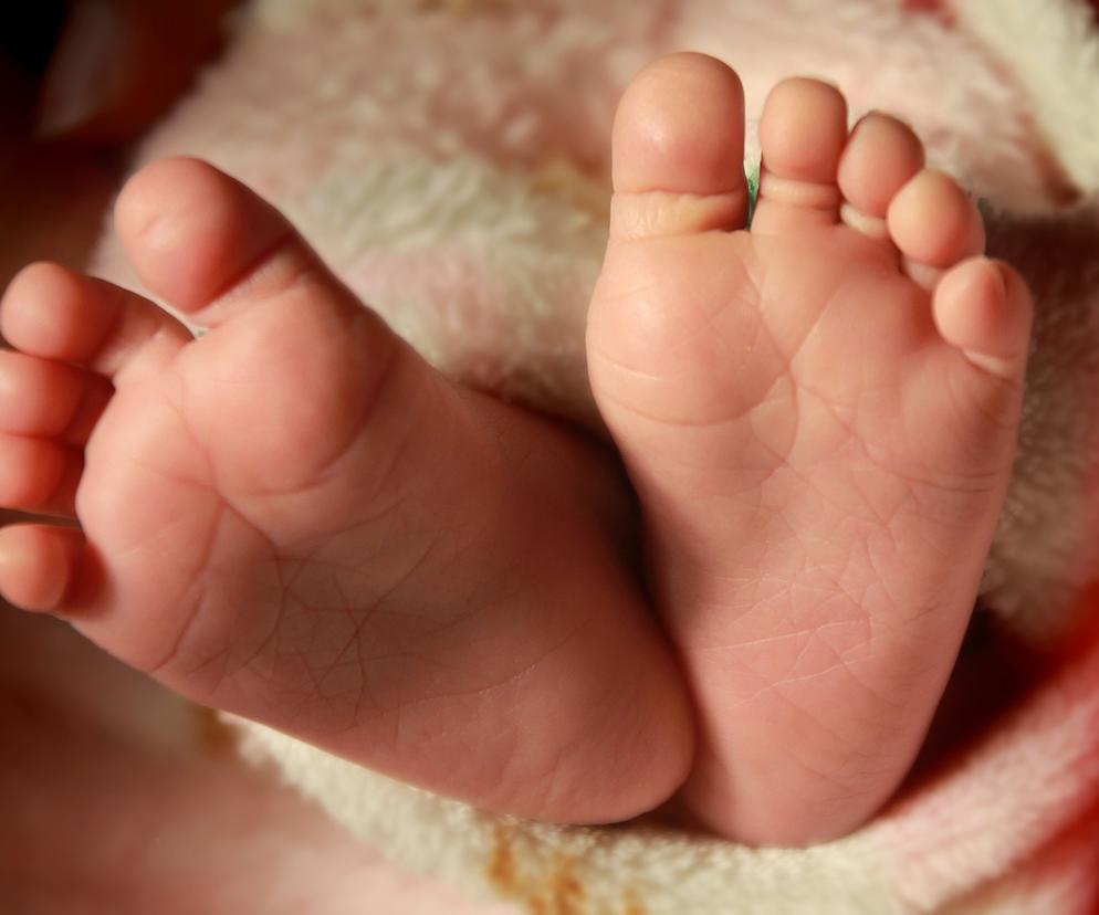 Nie żyje 3-miesięczne niemowle. Tragedia rozegrała się we wsi Gogołowa 