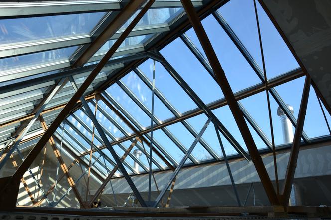 METAMORFOZA SZKÓŁ ARTYSTYCZNYCH