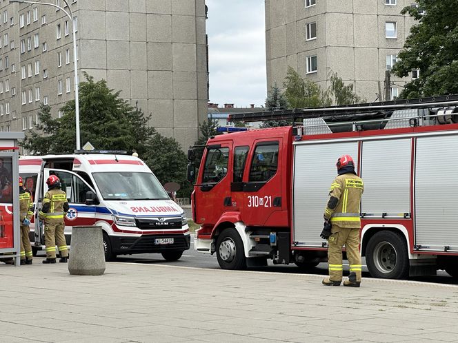 Horror na przystanku autobusowym w Warszawie. Upadł na ziemię i zmarł. Reanimacja nie przyniosła skutku