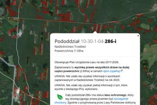 Wycinka lasów w Szczecinie i regionie 