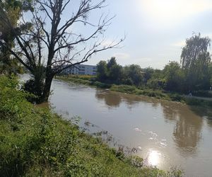 Stan rzeki Ślęza cały czas się podnosi. Przekroczono już stan alarmowy. Jak wygląda sytuacja?