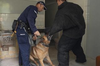 Policjanci i ich psy służbowe walczyli o tytuł! Kto okazał się najlepszy?