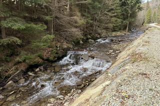 Ukryty szlak turystyczny pełen atrakcji. Nie każdy zna to miejsce w Małopolsce [GALERIA]