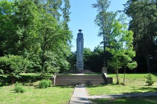 W podtarnowskiej wsi znajduje się największy cmentarz ofiar Holocaustu. Tak wygląda las Buczyna w Zbylitowskiej Górze