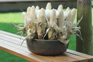 Kolby kukurydzy z chryzantemami