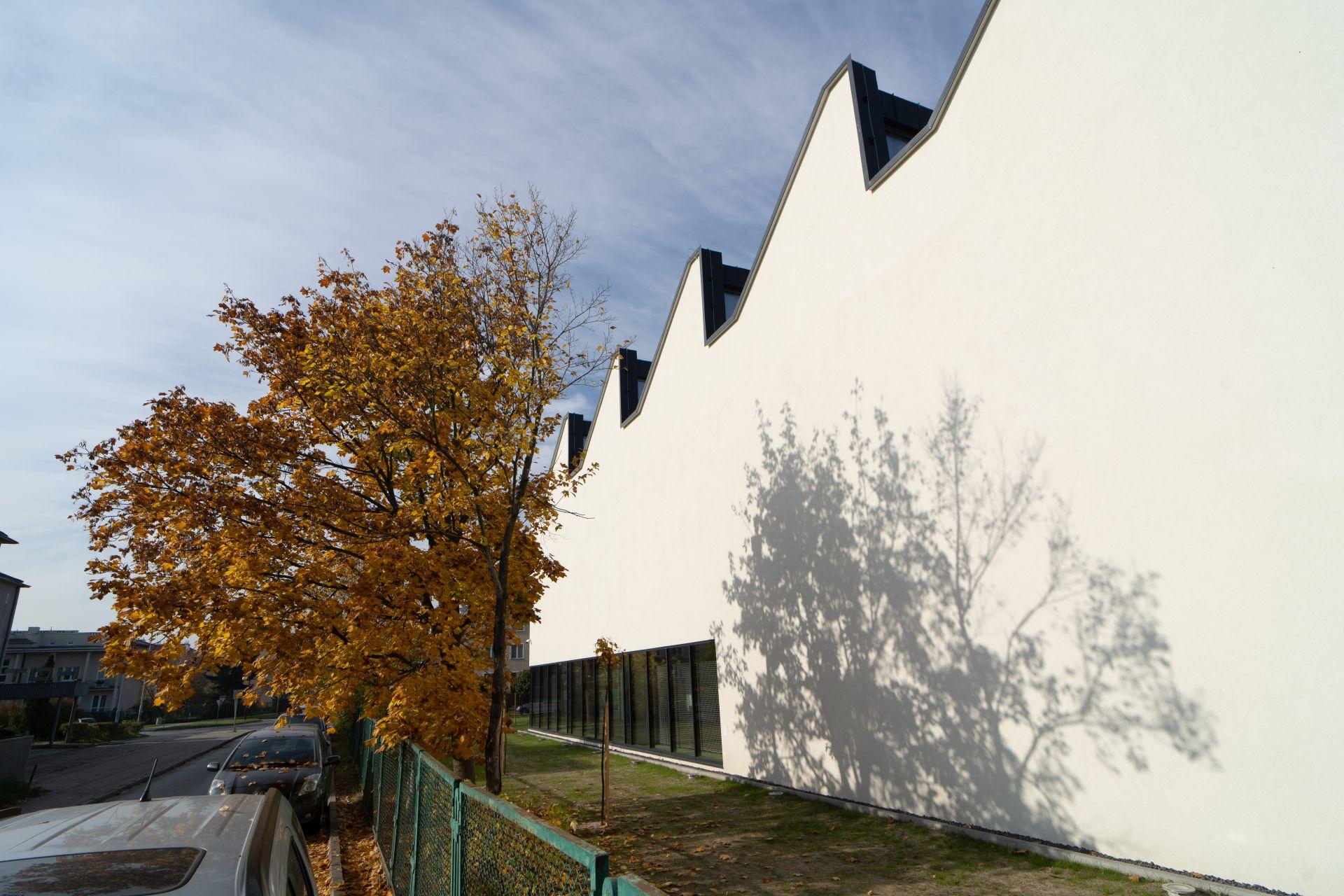 Hala sportowa przy szkole podstawowej nr 3 w Stalowej Woli