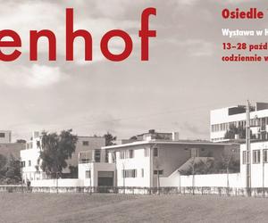 Weissenhof – osiedle Werkbundu Stuttgart 1927. Wystawa we Wrocławiu