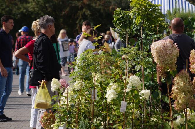 Jesienny Kiermasz Ogrodniczy 2023. Tłumy przy bydgoskim "Torbydzie" [ZDJĘCIA]